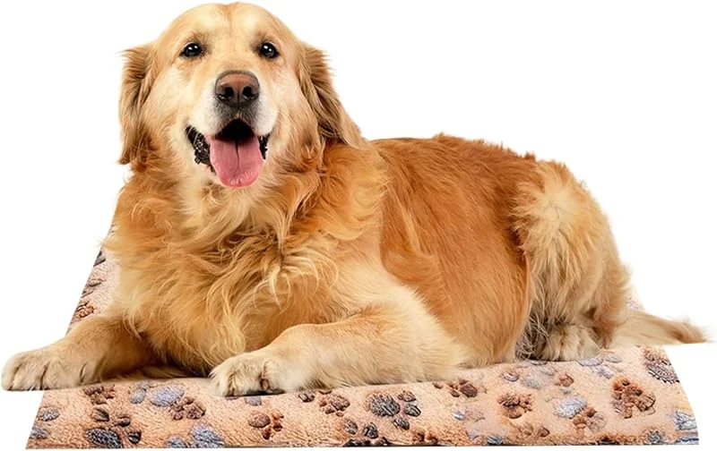 Heizmatte für Katzen – Heizdecke mit Krallenmotiv für Katzen und Hunde – Heizmatte für Tiere – für Hunde, Kätzchen, Welpen, Innenbereich, Haus, Windelzimmer — Heizung Warmepumpe