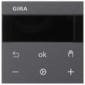 Gira RTR Display 539328 — Heizung Warmepumpe